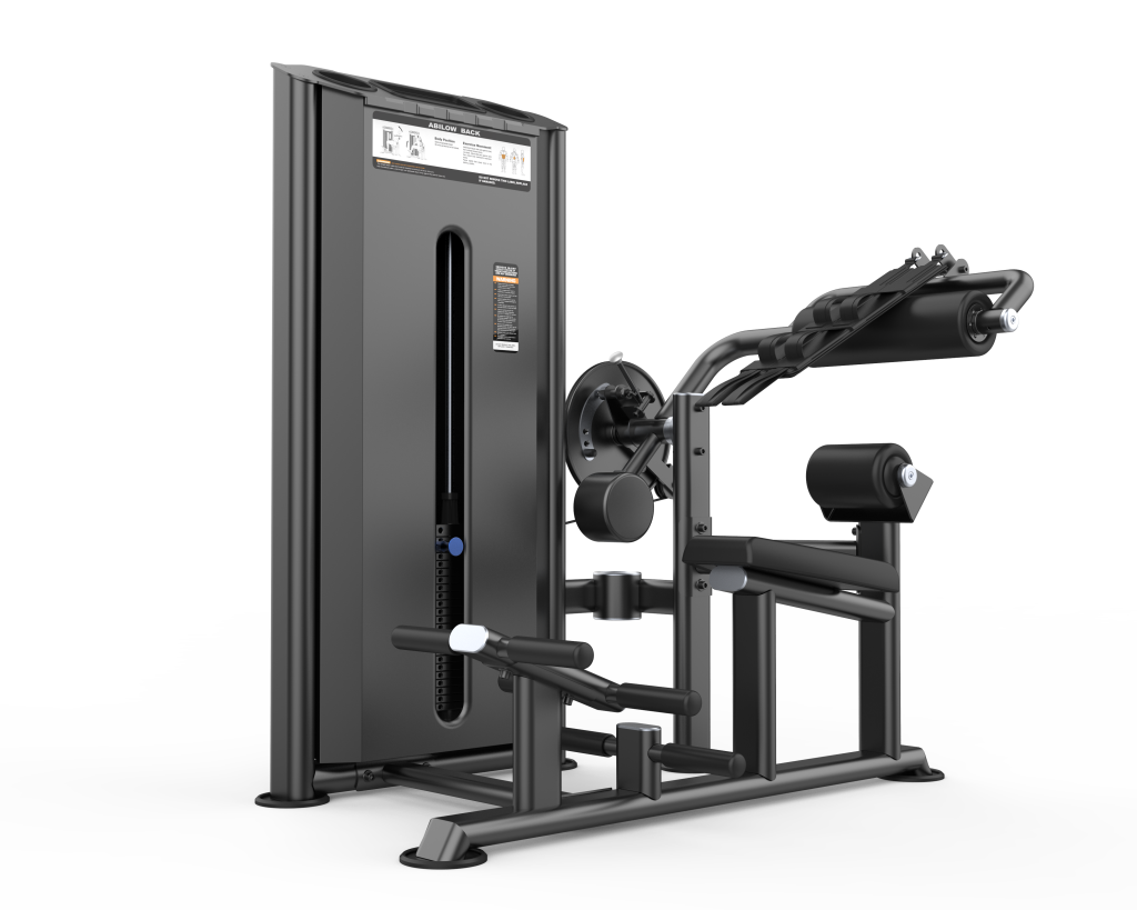Dual Abdominal and Back Extension DHZ