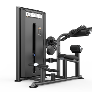 Dual Abdominal and Back Extension DHZ